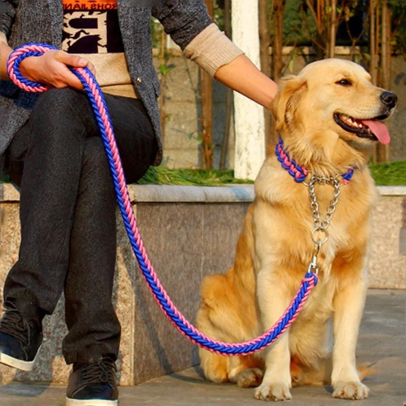 Pet Collars/Leashes