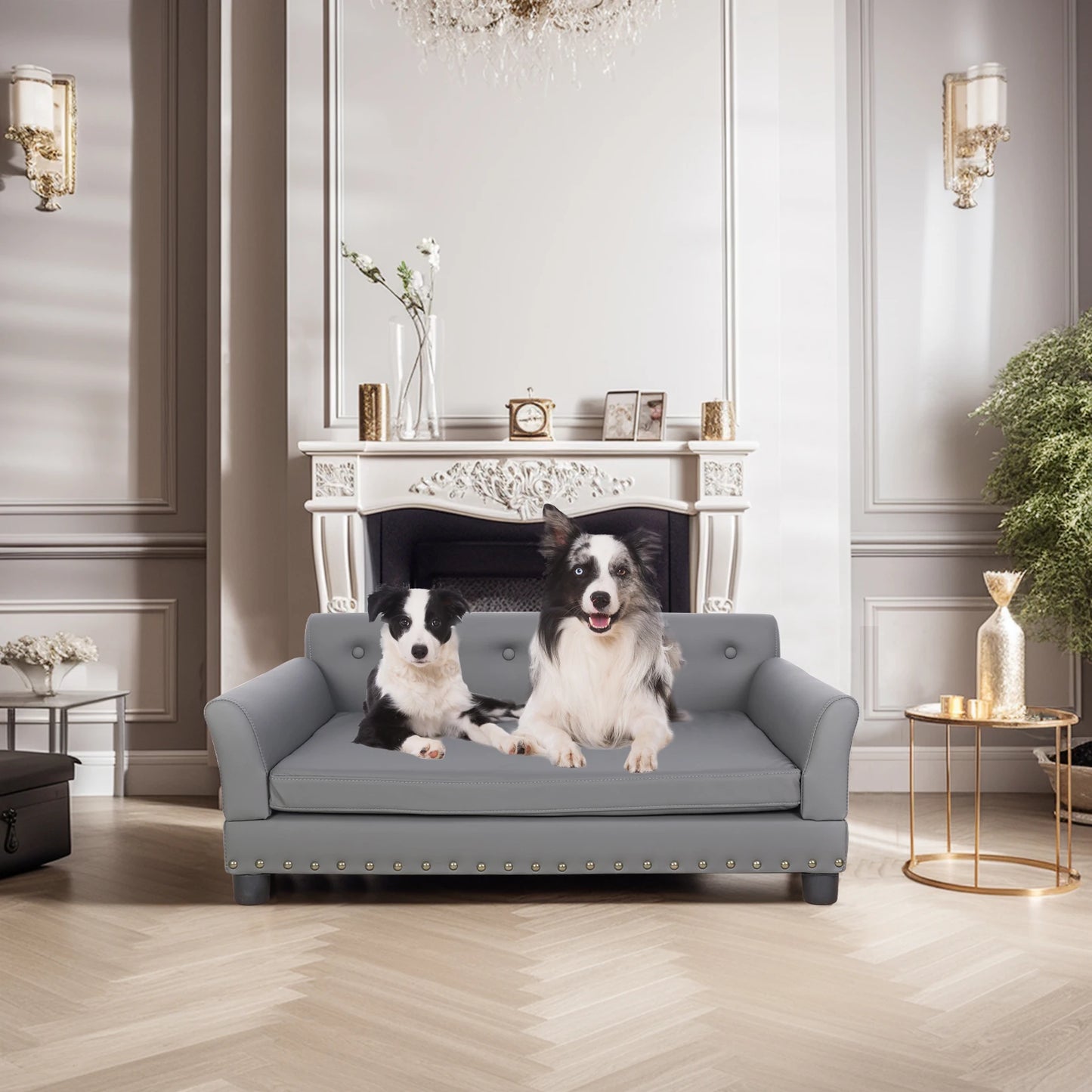 Rectangle Pet Bed for Medium and Large Dogs, Durable Elevated Dog Sofa Bed, Comfortable Dog Couch, Modern Dog Sofa
